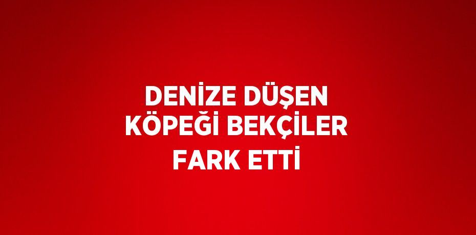 DENİZE DÜŞEN KÖPEĞİ BEKÇİLER FARK ETTİ