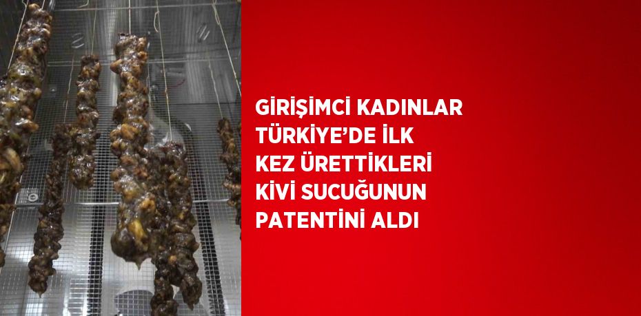 GİRİŞİMCİ KADINLAR TÜRKİYE’DE İLK KEZ ÜRETTİKLERİ KİVİ SUCUĞUNUN PATENTİNİ ALDI