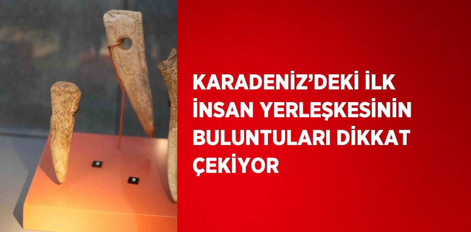 KARADENİZ’DEKİ İLK İNSAN YERLEŞKESİNİN BULUNTULARI DİKKAT ÇEKİYOR