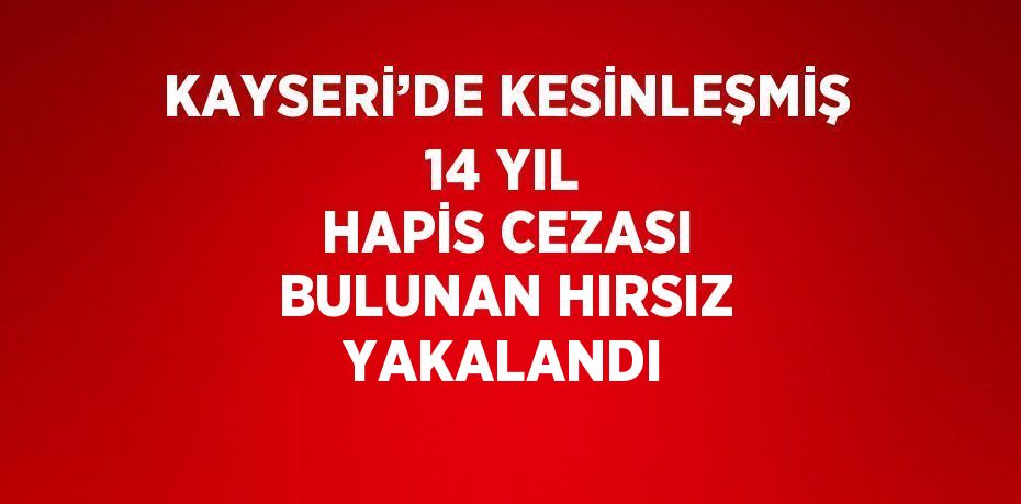 KAYSERİ’DE KESİNLEŞMİŞ 14 YIL HAPİS CEZASI BULUNAN HIRSIZ YAKALANDI