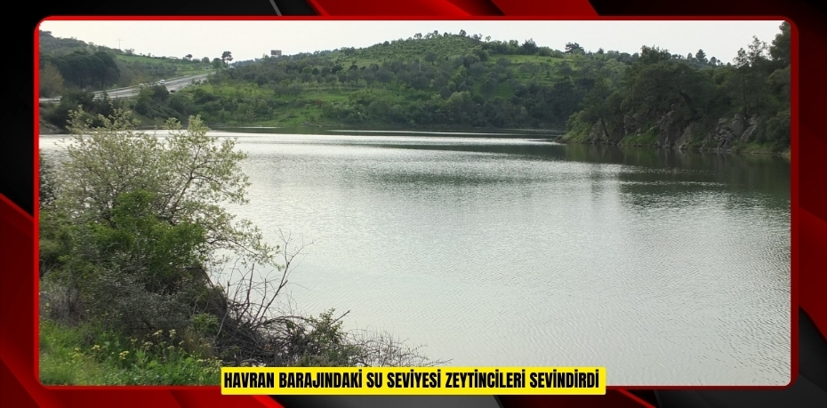 Havran Barajındaki su seviyesi zeytincileri sevindirdi
