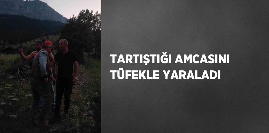 TARTIŞTIĞI AMCASINI TÜFEKLE YARALADI