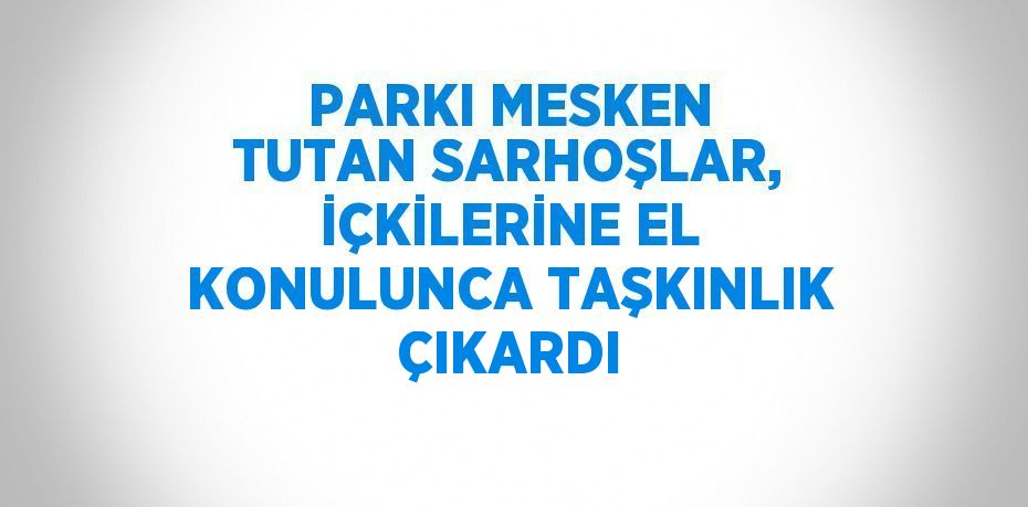 PARKI MESKEN TUTAN SARHOŞLAR, İÇKİLERİNE EL KONULUNCA TAŞKINLIK ÇIKARDI