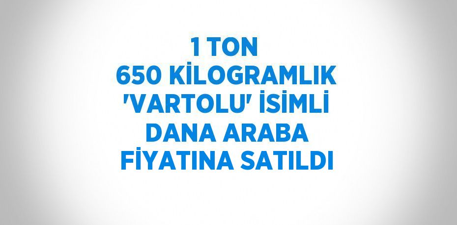 1 TON 650 KİLOGRAMLIK 'VARTOLU' İSİMLİ DANA ARABA FİYATINA SATILDI