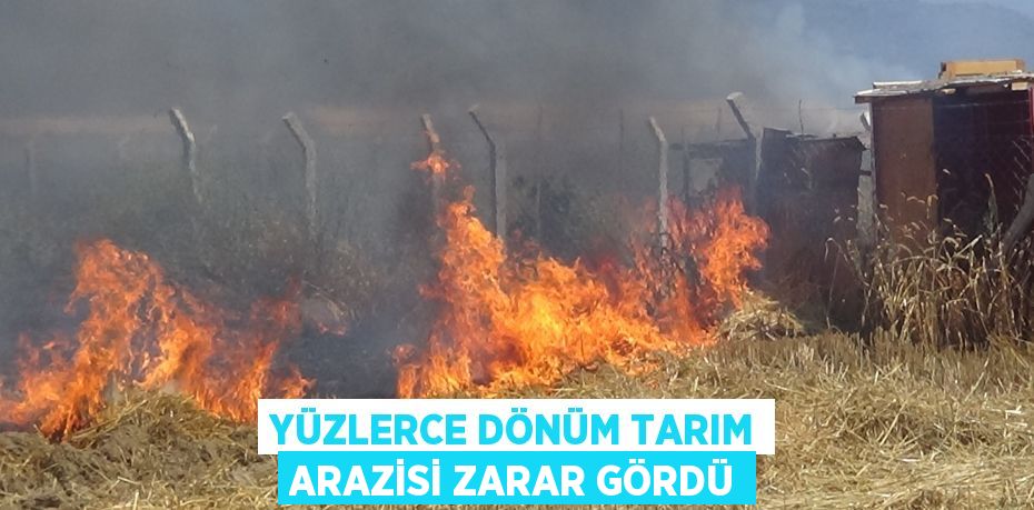 Yüzlerce dönüm tarım arazisi zarar gördü