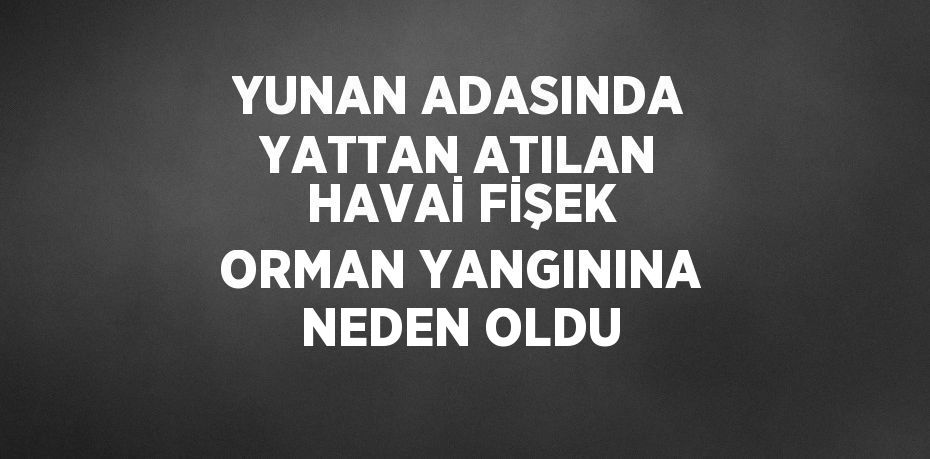 YUNAN ADASINDA YATTAN ATILAN HAVAİ FİŞEK ORMAN YANGININA NEDEN OLDU