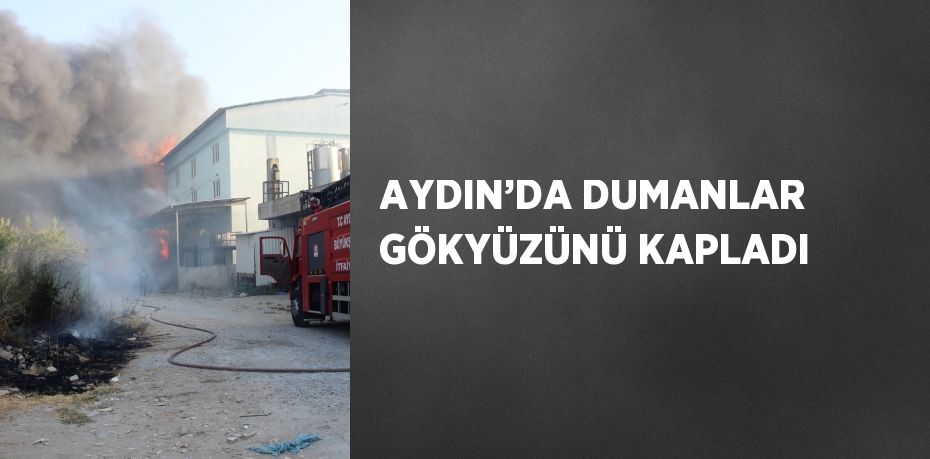 AYDIN’DA DUMANLAR GÖKYÜZÜNÜ KAPLADI