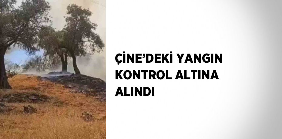 ÇİNE’DEKİ YANGIN KONTROL ALTINA ALINDI