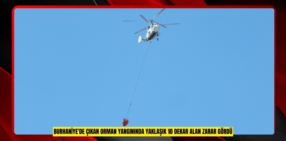 Burhaniye'de çıkan orman yangınında yaklaşık 10 dekar alan zarar gördü