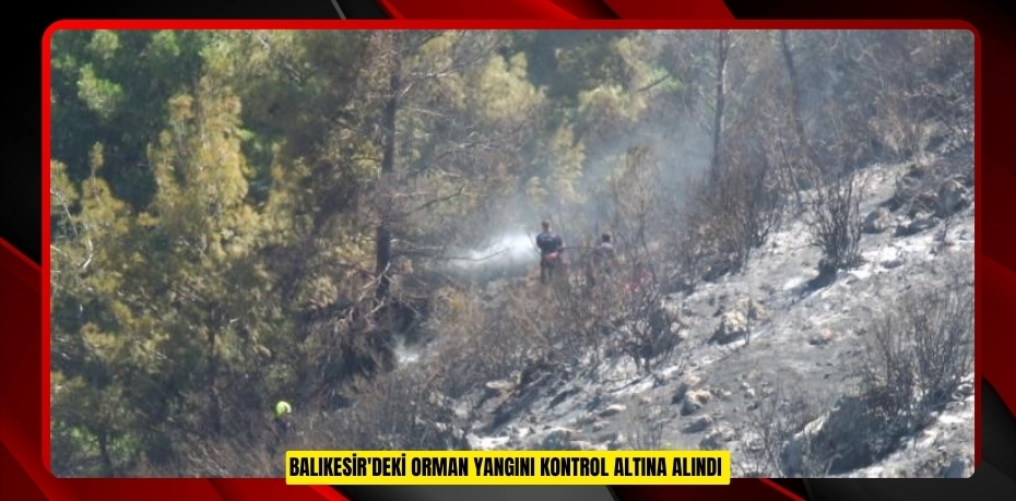 Balıkesir'deki orman yangını kontrol altına alındı  
