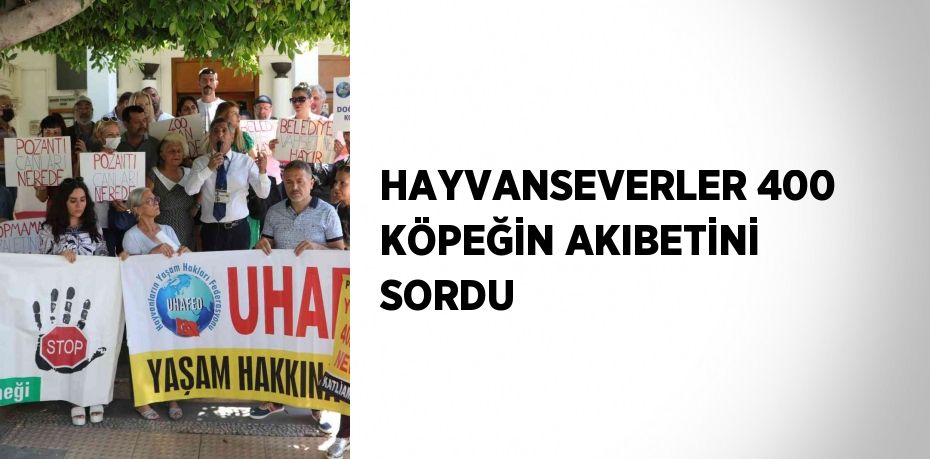 HAYVANSEVERLER 400 KÖPEĞİN AKIBETİNİ SORDU