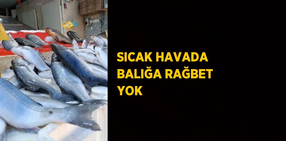 SICAK HAVADA BALIĞA RAĞBET YOK