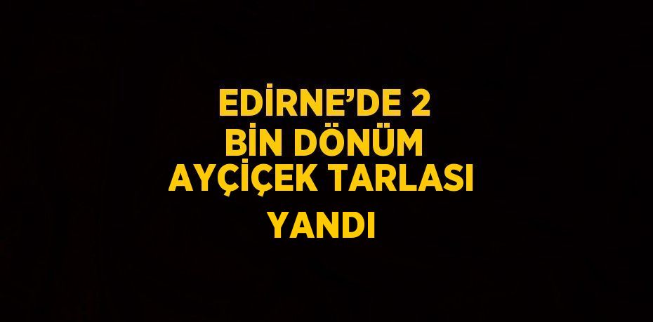 EDİRNE’DE 2 BİN DÖNÜM AYÇİÇEK TARLASI YANDI