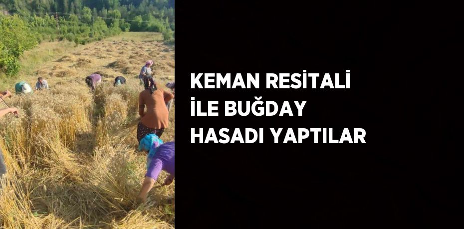 KEMAN RESİTALİ İLE BUĞDAY HASADI YAPTILAR