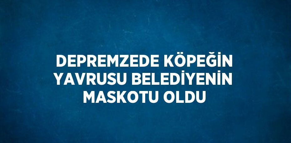 DEPREMZEDE KÖPEĞİN YAVRUSU BELEDİYENİN MASKOTU OLDU