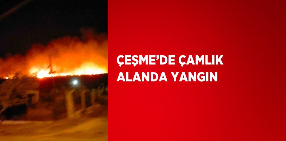 ÇEŞME’DE ÇAMLIK ALANDA YANGIN