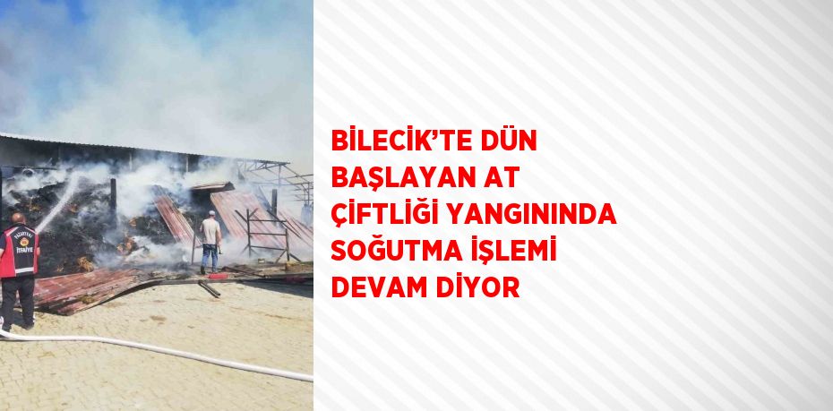 BİLECİK’TE DÜN BAŞLAYAN AT ÇİFTLİĞİ YANGININDA SOĞUTMA İŞLEMİ DEVAM DİYOR