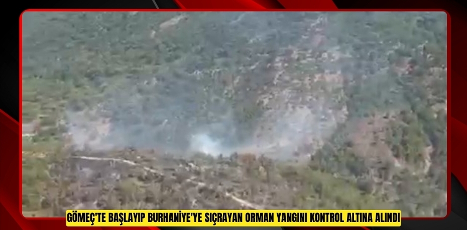 Gömeç'te başlayıp Burhaniye'ye sıçrayan orman yangını kontrol altına alındı  