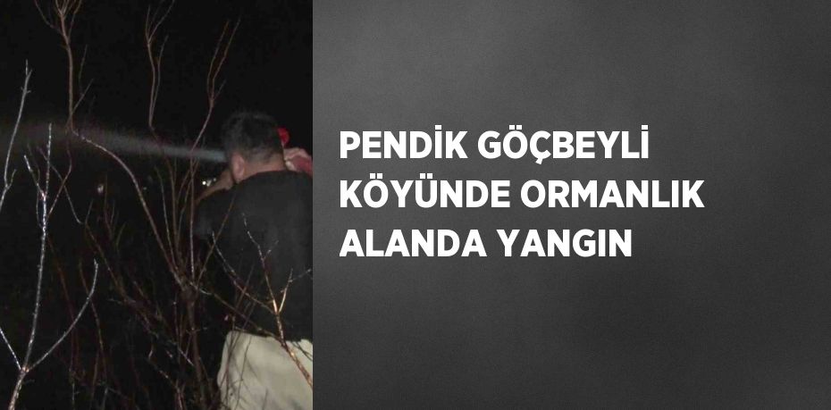 PENDİK GÖÇBEYLİ KÖYÜNDE ORMANLIK ALANDA YANGIN