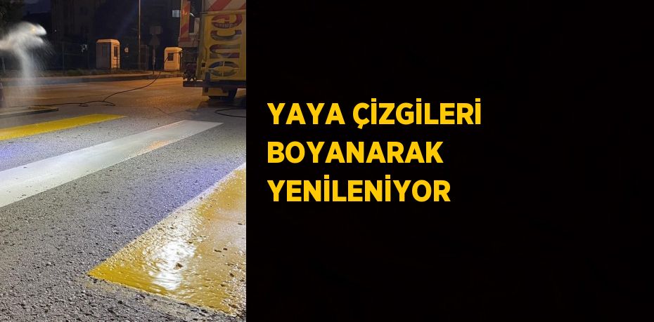 YAYA ÇİZGİLERİ BOYANARAK YENİLENİYOR