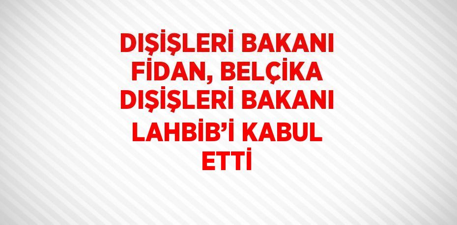 DIŞİŞLERİ BAKANI FİDAN, BELÇİKA DIŞİŞLERİ BAKANI LAHBİB’İ KABUL ETTİ