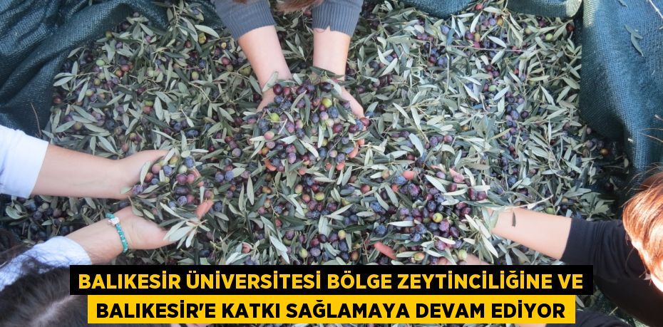 Balıkesir Üniversitesi Bölge Zeytinciliğine ve Balıkesir’e Katkı Sağlamaya Devam Ediyor