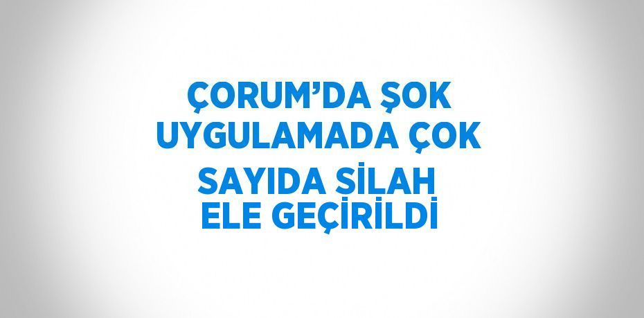 ÇORUM’DA ŞOK UYGULAMADA ÇOK SAYIDA SİLAH ELE GEÇİRİLDİ