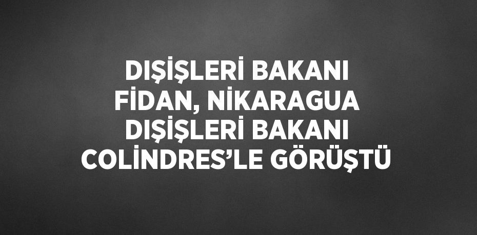 DIŞİŞLERİ BAKANI FİDAN, NİKARAGUA DIŞİŞLERİ BAKANI COLİNDRES’LE GÖRÜŞTÜ