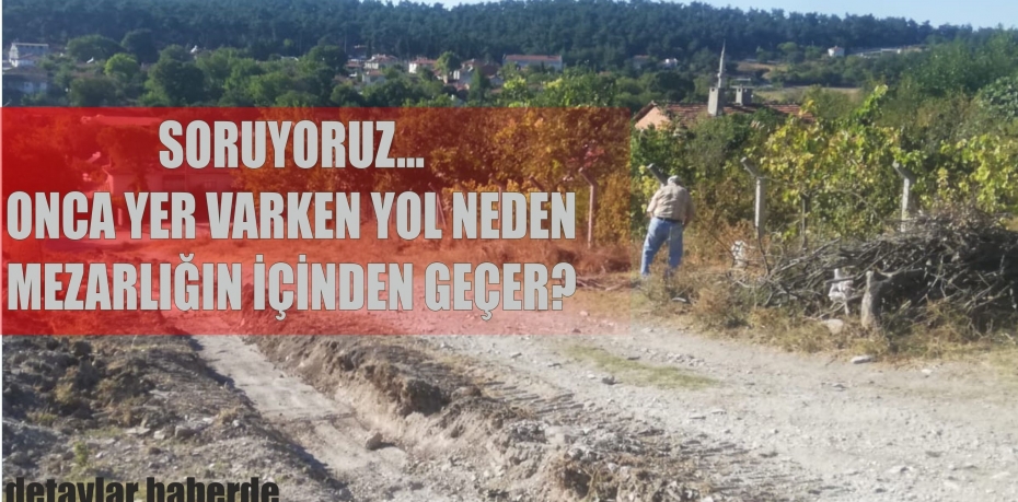 Bir garip yol hikayesi
