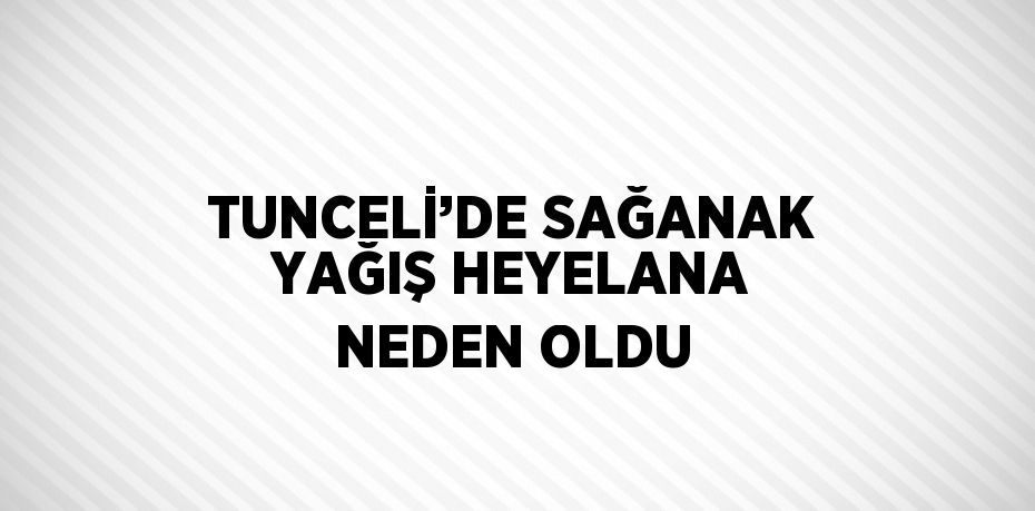 TUNCELİ’DE SAĞANAK YAĞIŞ HEYELANA NEDEN OLDU