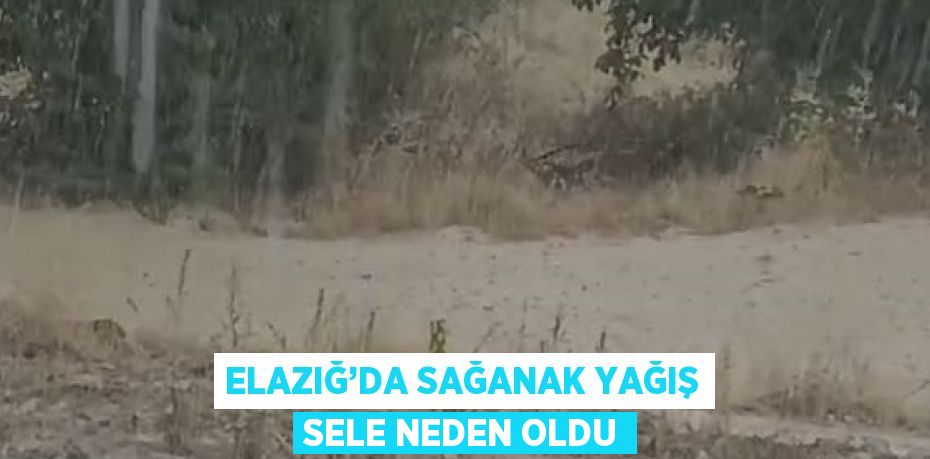 ELAZIĞ’DA SAĞANAK YAĞIŞ SELE NEDEN OLDU