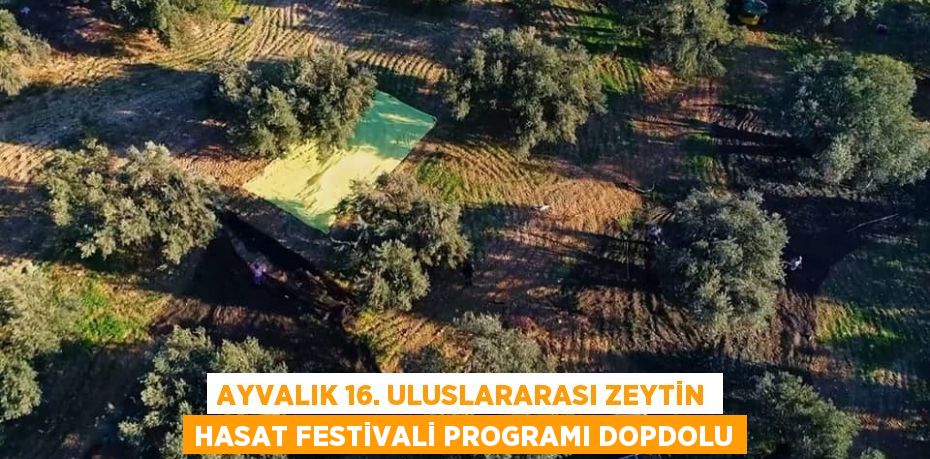 AYVALIK 16. ULUSLARARASI ZEYTİN HASAT FESTİVALİ PROGRAMI DOPDOLU