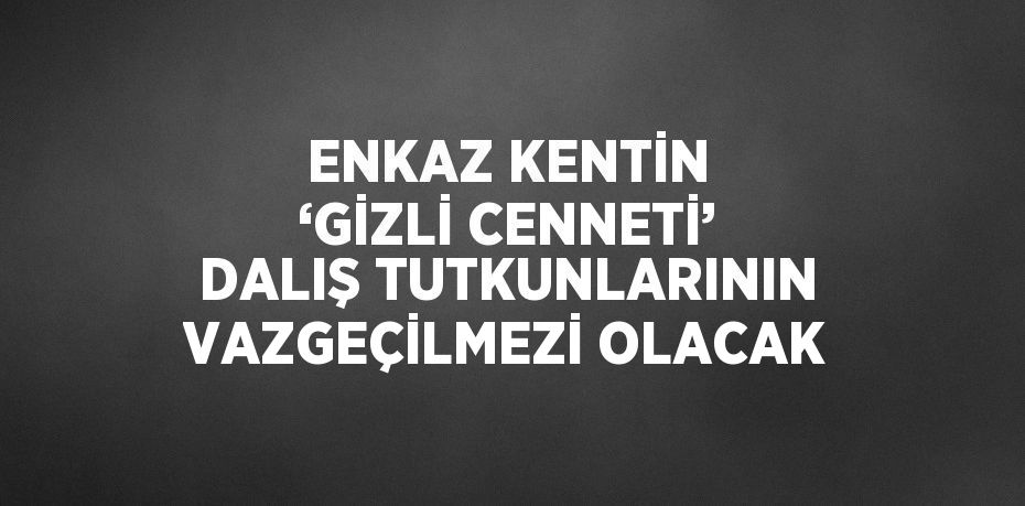 ENKAZ KENTİN ‘GİZLİ CENNETİ’ DALIŞ TUTKUNLARININ VAZGEÇİLMEZİ OLACAK