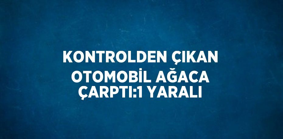 KONTROLDEN ÇIKAN OTOMOBİL AĞACA ÇARPTI:1 YARALI