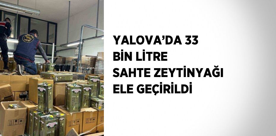 YALOVA’DA 33 BİN LİTRE SAHTE ZEYTİNYAĞI ELE GEÇİRİLDİ