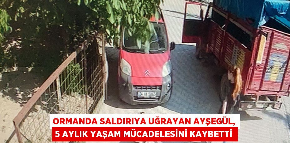 Ormanda saldırıya uğrayan Ayşegül, 5 aylık yaşam mücadelesini kaybetti