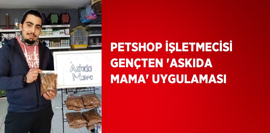 PETSHOP İŞLETMECİSİ GENÇTEN 'ASKIDA MAMA' UYGULAMASI