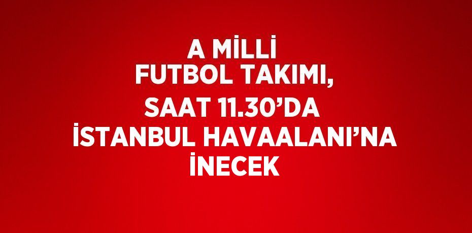 A MİLLİ FUTBOL TAKIMI, SAAT 11.30’DA İSTANBUL HAVAALANI’NA İNECEK