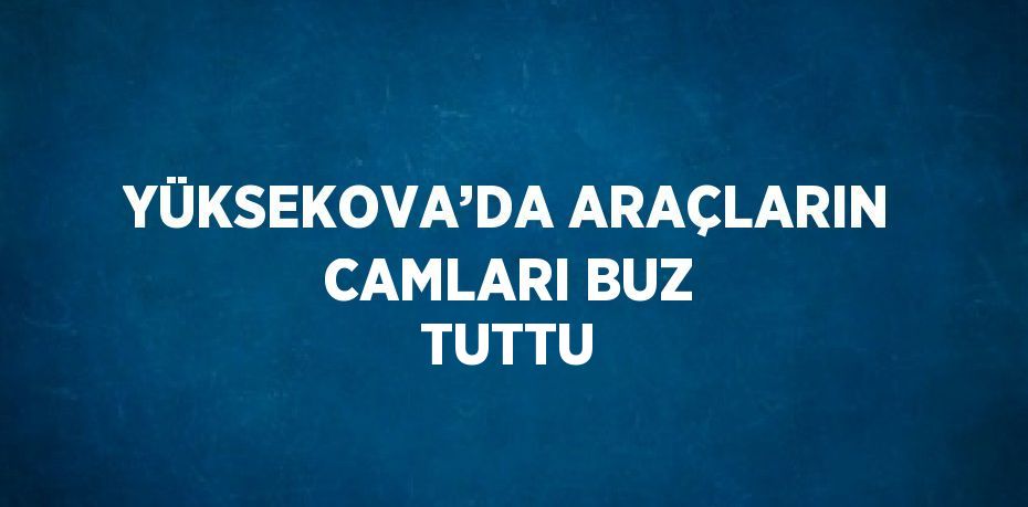 YÜKSEKOVA’DA ARAÇLARIN CAMLARI BUZ TUTTU