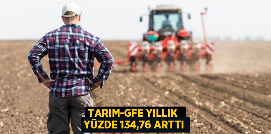 TARIM-GFE YILLIK  YÜZDE 134,76 ARTTI