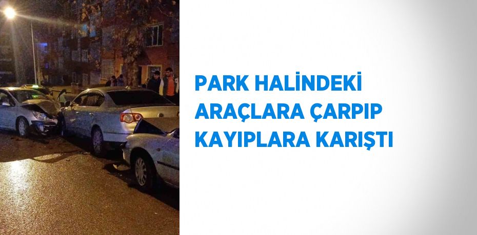 PARK HALİNDEKİ ARAÇLARA ÇARPIP KAYIPLARA KARIŞTI