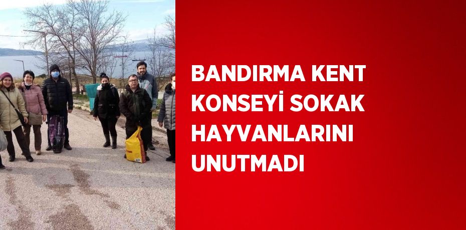 BANDIRMA KENT KONSEYİ SOKAK HAYVANLARINI UNUTMADI