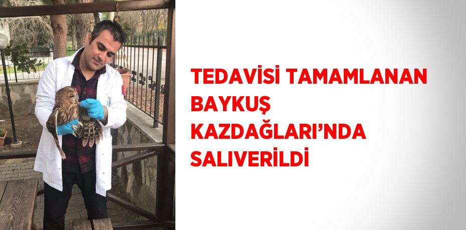 TEDAVİSİ TAMAMLANAN BAYKUŞ KAZDAĞLARI’NDA SALIVERİLDİ