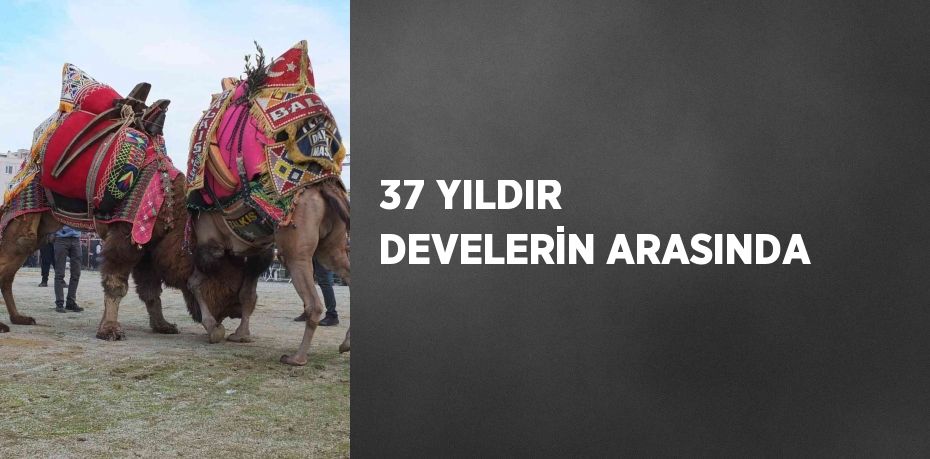 37 YILDIR DEVELERİN ARASINDA