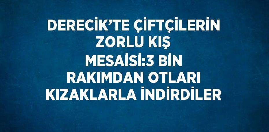 DERECİK’TE ÇİFTÇİLERİN ZORLU KIŞ MESAİSİ:3 BİN RAKIMDAN OTLARI KIZAKLARLA İNDİRDİLER