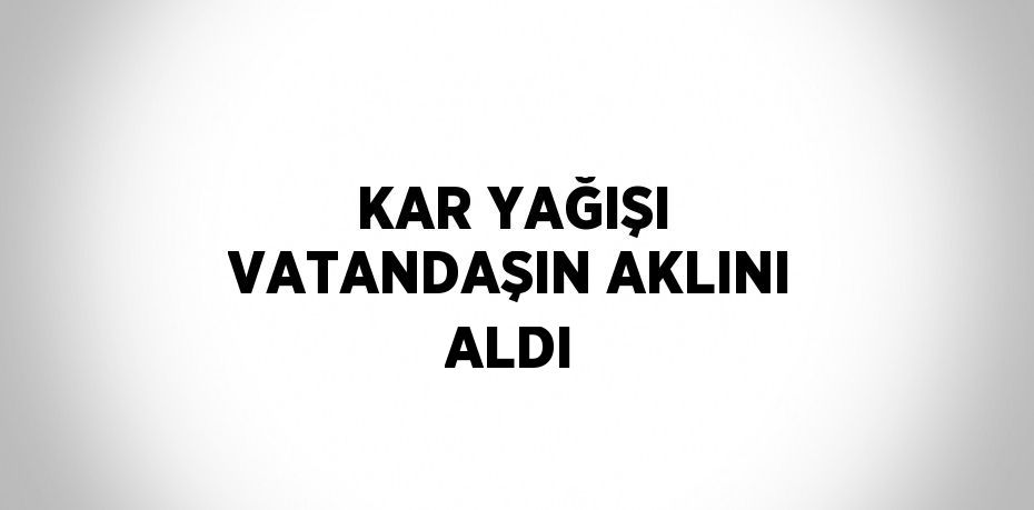 KAR YAĞIŞI VATANDAŞIN AKLINI ALDI