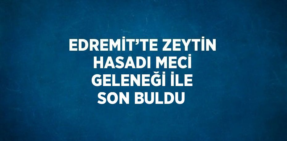 EDREMİT’TE ZEYTİN HASADI MECİ GELENEĞİ İLE SON BULDU