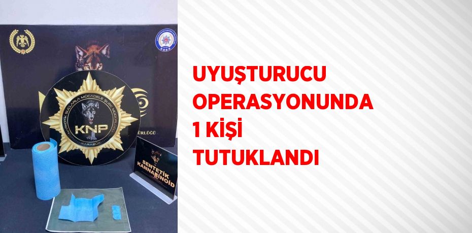 UYUŞTURUCU OPERASYONUNDA 1 KİŞİ TUTUKLANDI