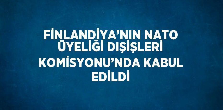 FİNLANDİYA’NIN NATO ÜYELİĞİ DIŞİŞLERİ KOMİSYONU’NDA KABUL EDİLDİ