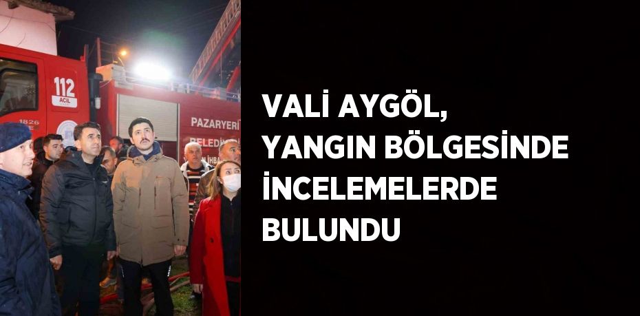 VALİ AYGÖL, YANGIN BÖLGESİNDE İNCELEMELERDE BULUNDU